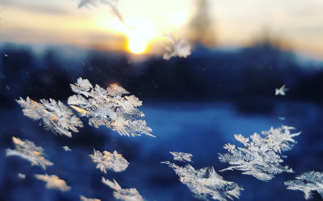 close up of snowflakes with sunset in background
