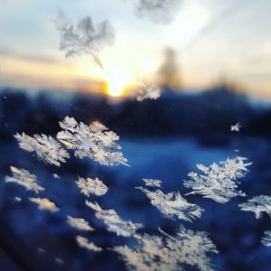 close up of snowflakes with sunset in background