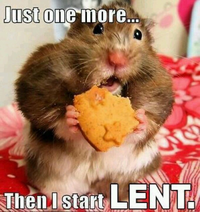 hamster eating a cookie with text "just one more...then I start LENT."