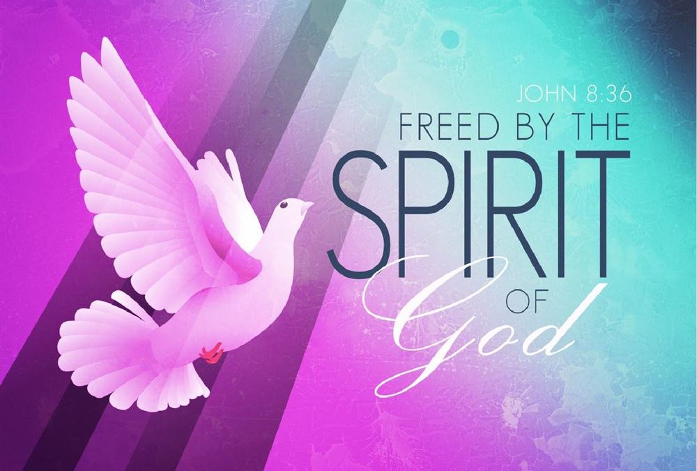 pentecost sunday at heart of longmont