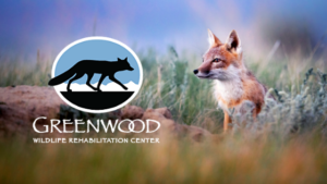 Greenwood Wildlife Rehabilitation Center