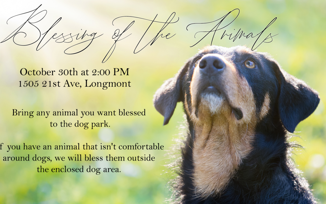 Blessing of the Animals October 30